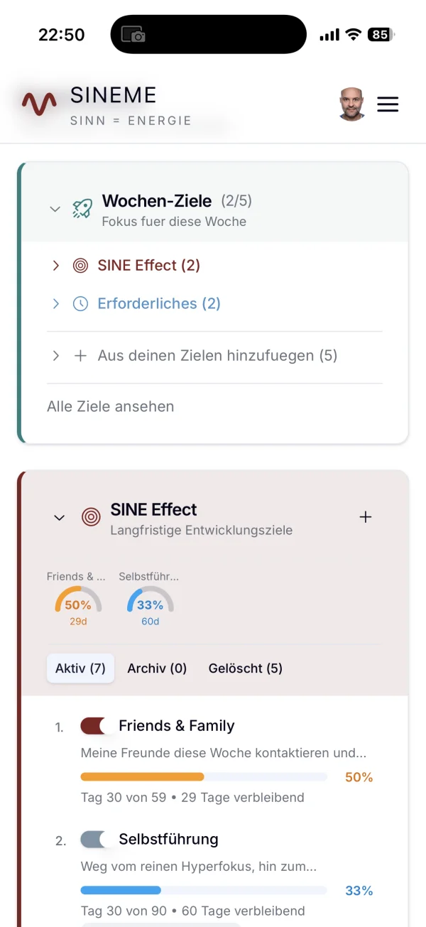 SINEme Dashboard &ndash; Fortschritt und Statistiken